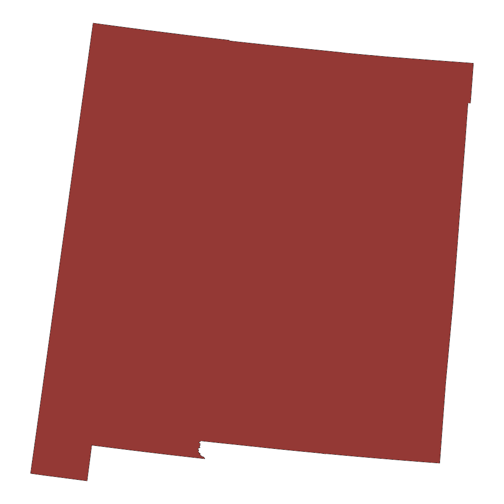 New Mexico state outline